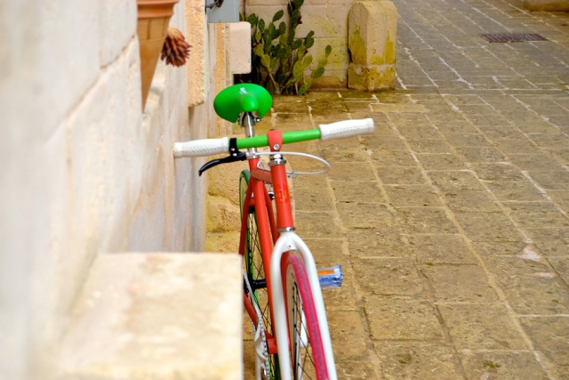  Renta de bicicletas y asistencia técnica 